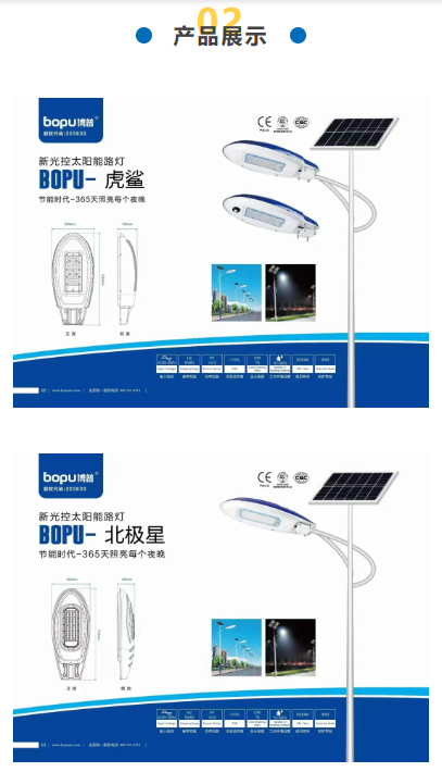 山东博普光电科技照明有限公司(图3)